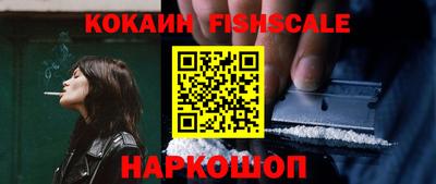 индика Гай