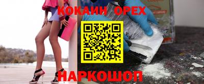 индика Гай