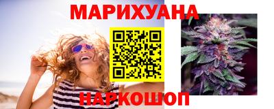 бошки Гатчина