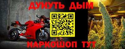 индика Гай