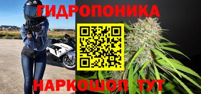 индика Гай