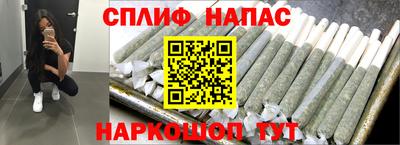 бошки Гатчина