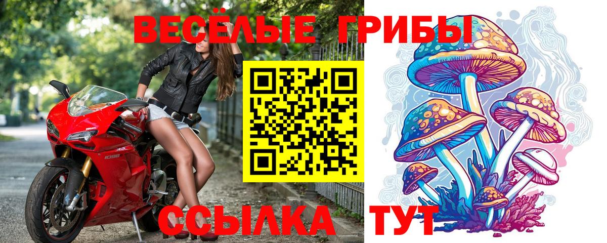 Псилоцибиновые грибы ЛСД Краснотурьинск